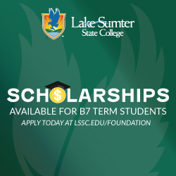 B7 Term Scholarships Now Available